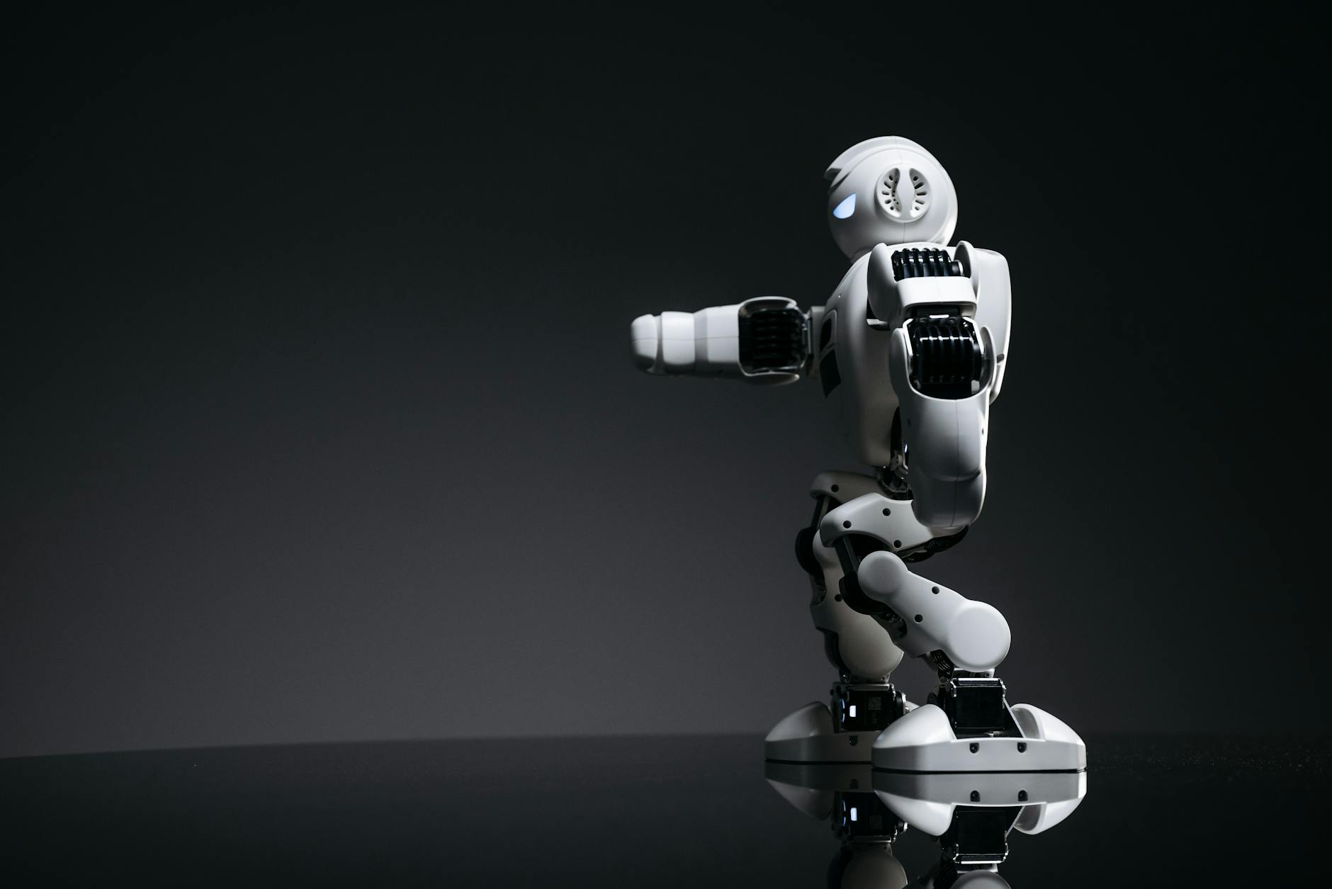 Roomba vs Roborock: Which Robot Vacuum Dominates in 2025? - Prime Reviews Pro