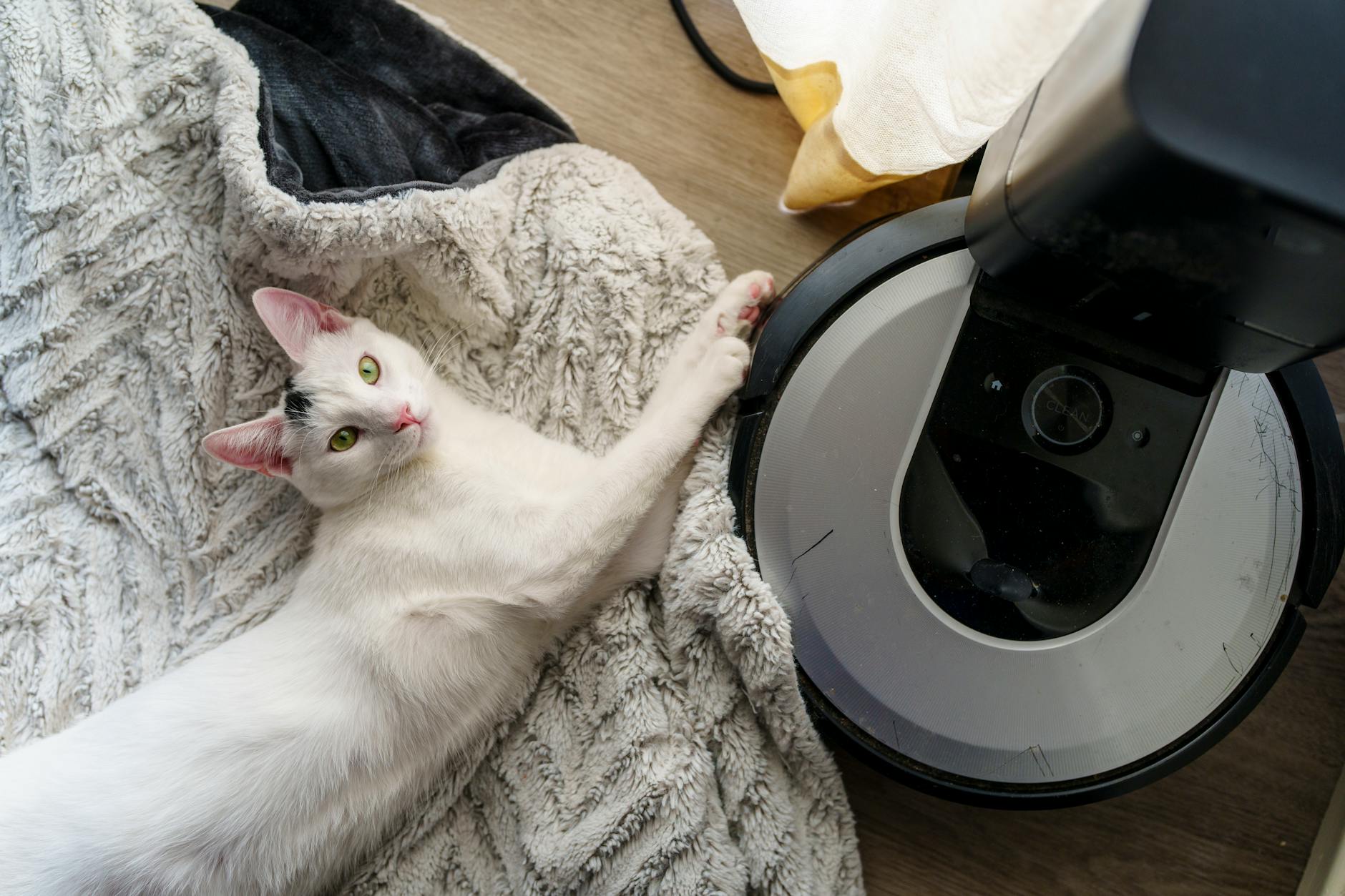Roomba vs Roborock: Which Robot Vacuum Dominates in 2025? — Final Verdict: Who Wins in 2026?