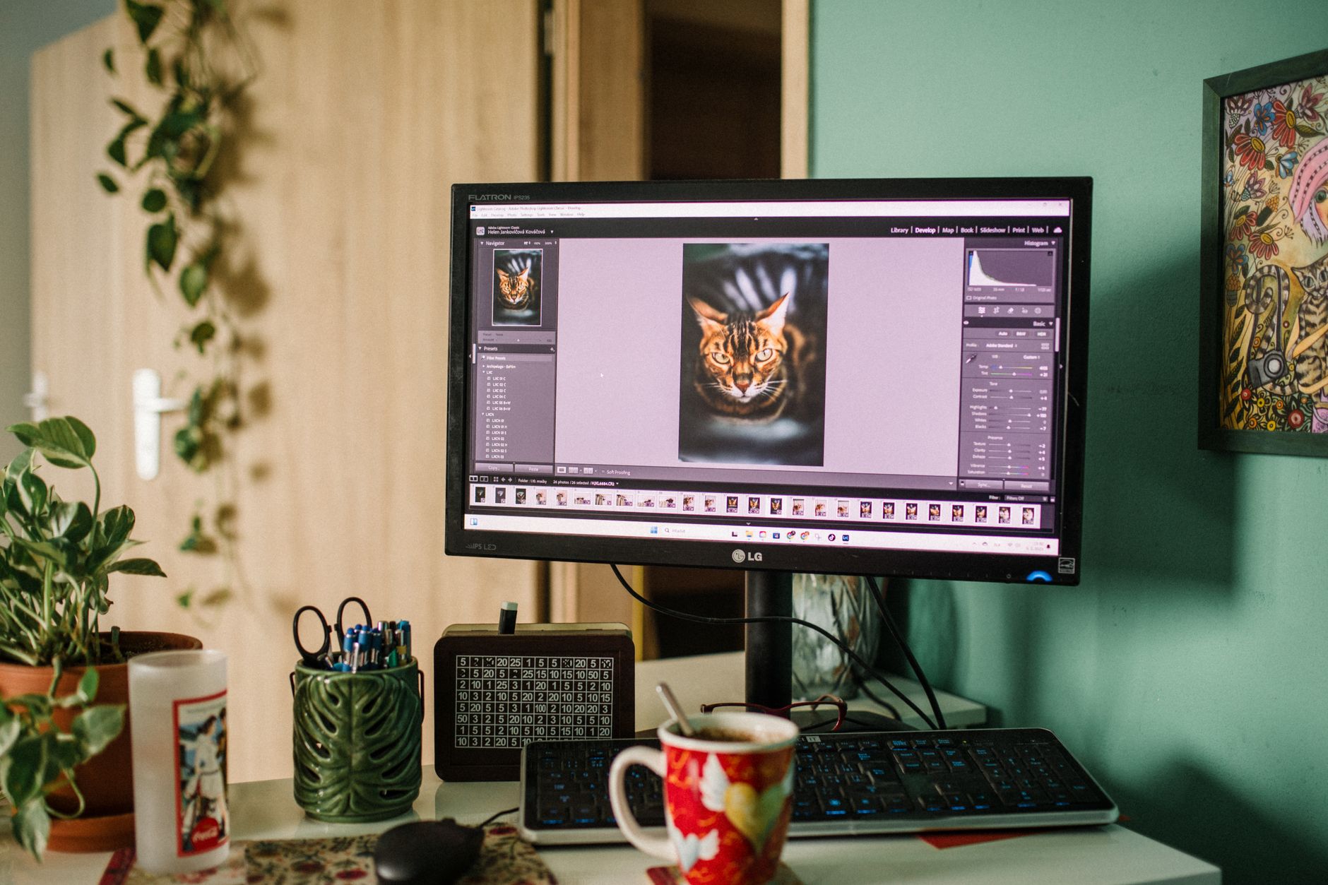 Which Home Office Monitor Wins? BenQ vs Dell Features Compared - Prime Reviews Pro