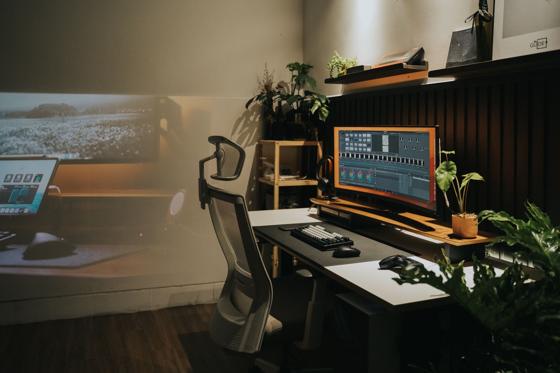 BenQ vs Asus ProArt: Which Wins for Home Offices? - Prime Reviews Pro