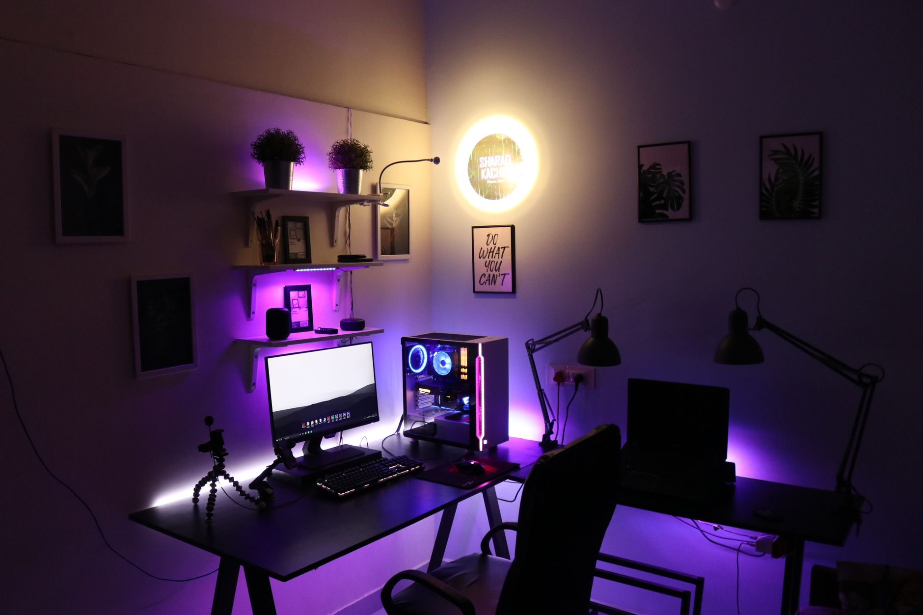 BenQ or LG: Which monitor wins for a home office? — Our Final Verdict