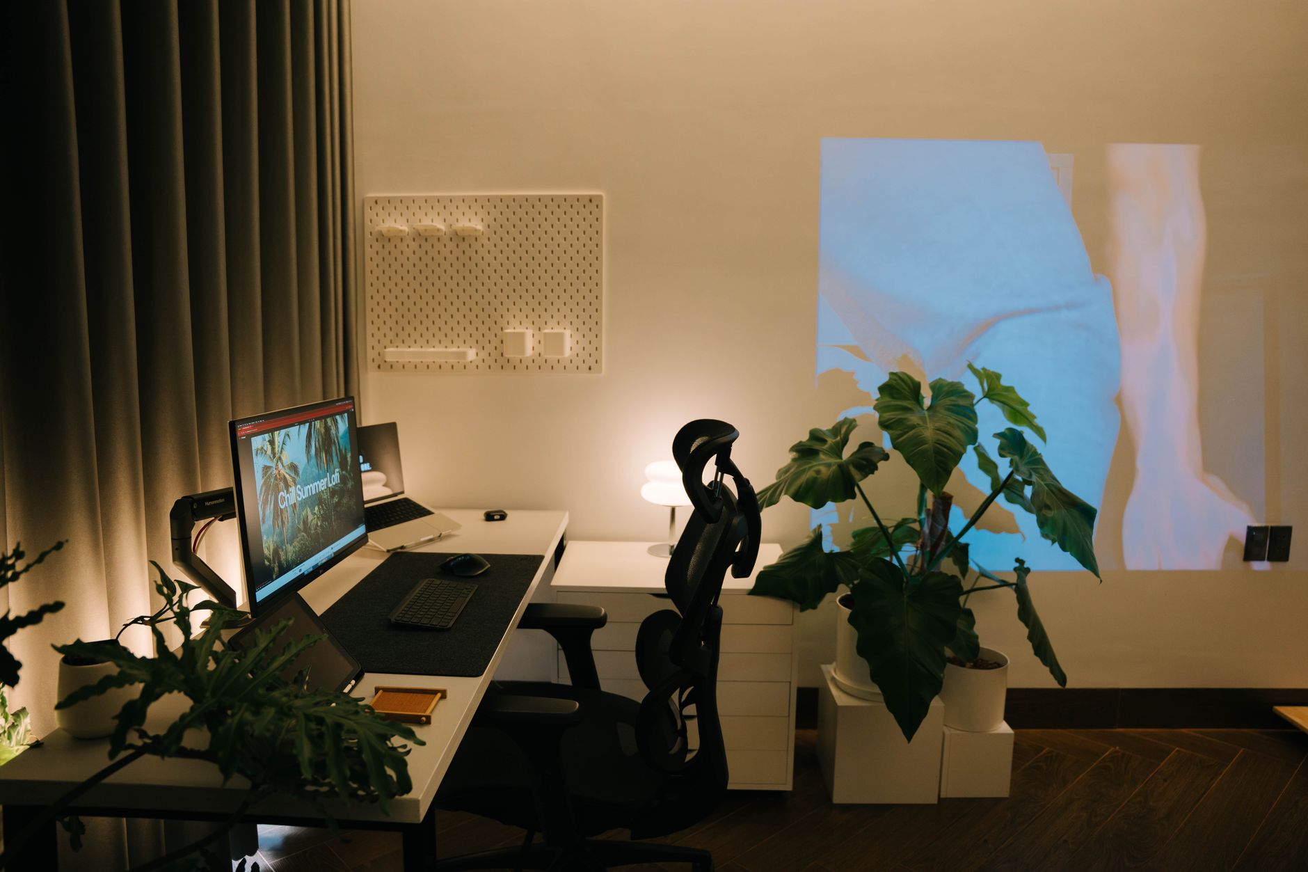Benq or Asus? Which Monitor Wins Your Home Office? — BenQ vs. Asus: The 2026 Home Office Showdown